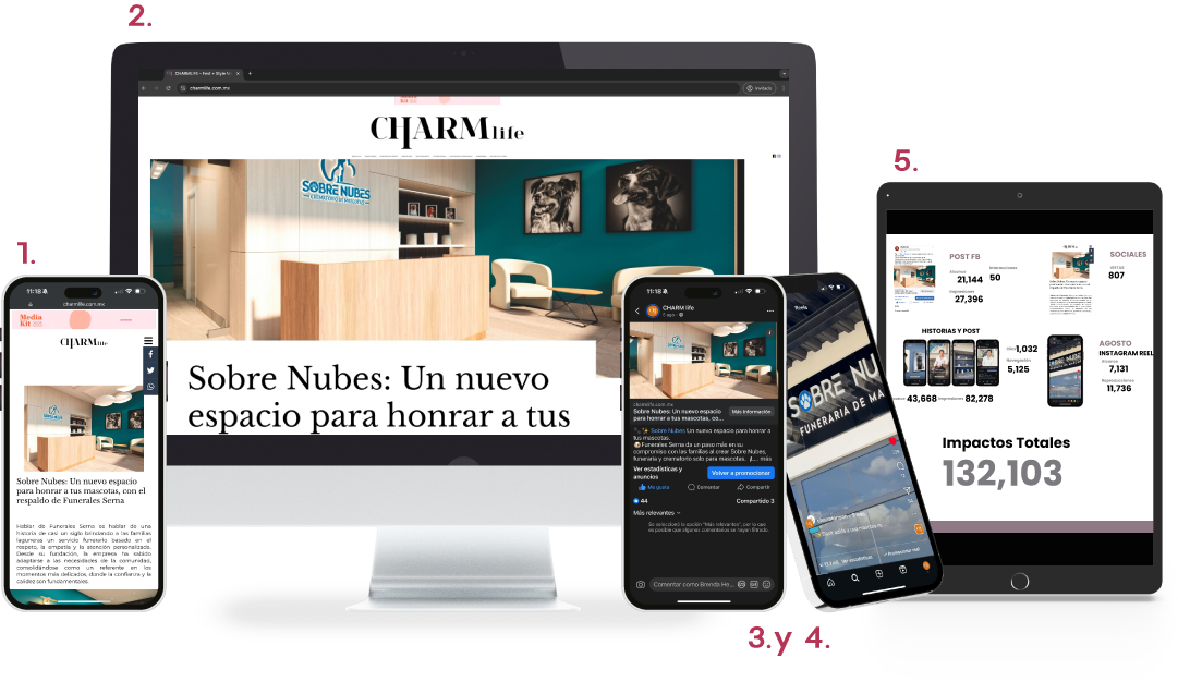 MOCKS_CONTENIDO_PLUS